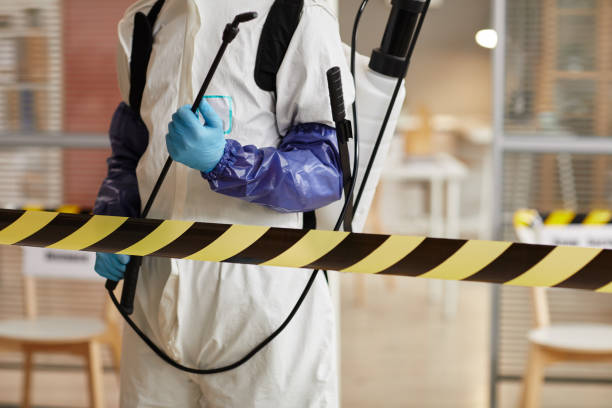 Professional Sewage Cleanup technician working in West Hyannisport, MA